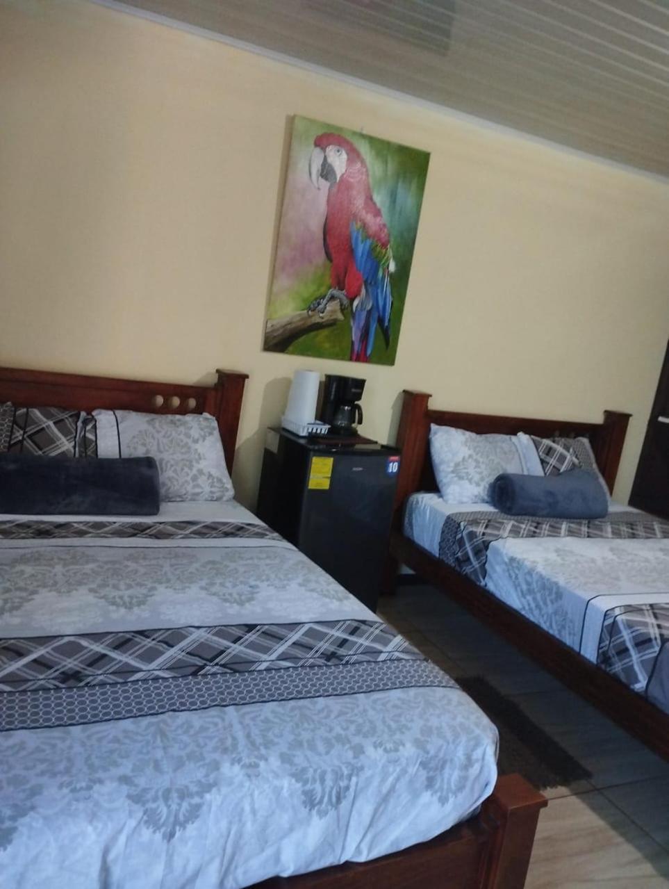 Anchia - Hostel Alajuela Buitenkant foto